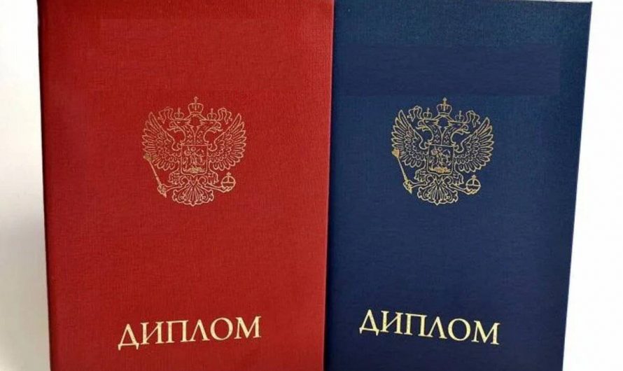 Купить диплом бакалавра в Нее