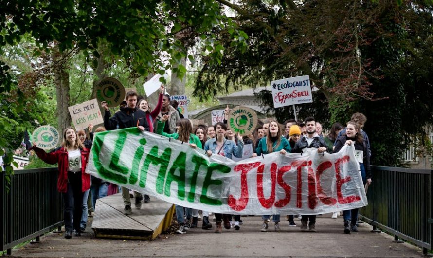 Купить диплом с реестром цена