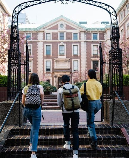 Купите диплом вуза с занесением в реестр сейчас